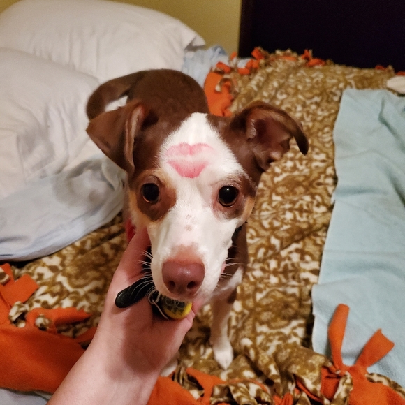 Meet your Posher, Andrea - Picture 6 of 7